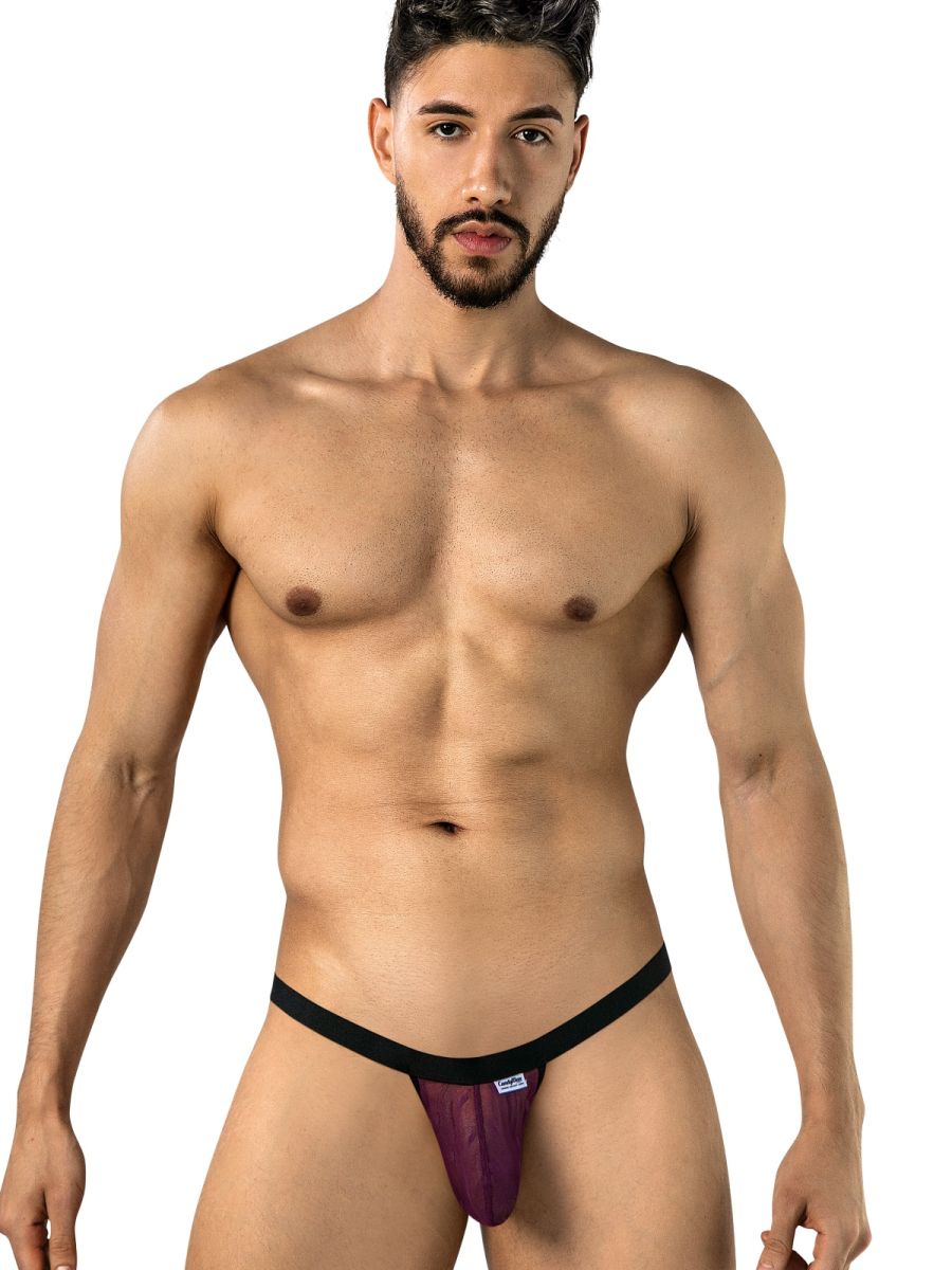 CandyMan 95017 Mens Stretch Dot Mesh Daring Attraction Thongs Wine