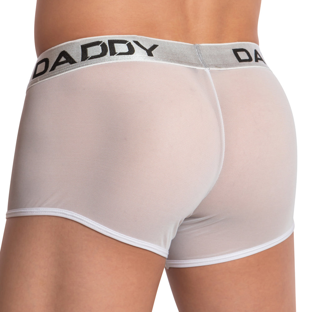 Daddy DDG006 Mesh Love Sheer See-through Boxer Briefs Mens Underwear