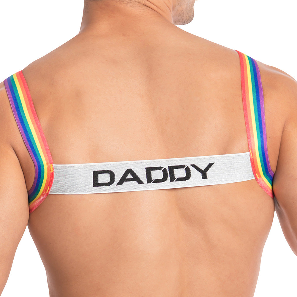 Daddy Underwear DDU004 Daddy 2.0 Pride Color Mens Harness