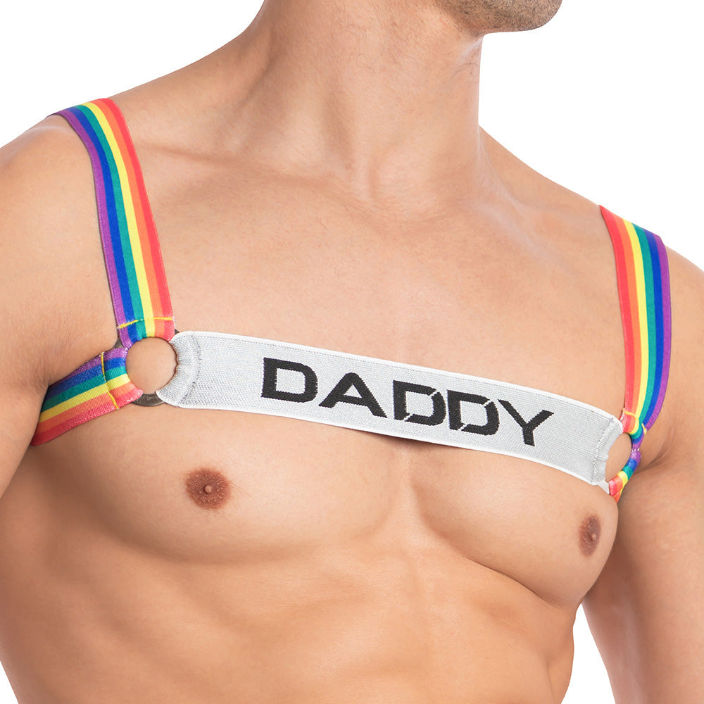 Daddy Underwear DDU004 Daddy 2.0 Pride Color Mens Harness