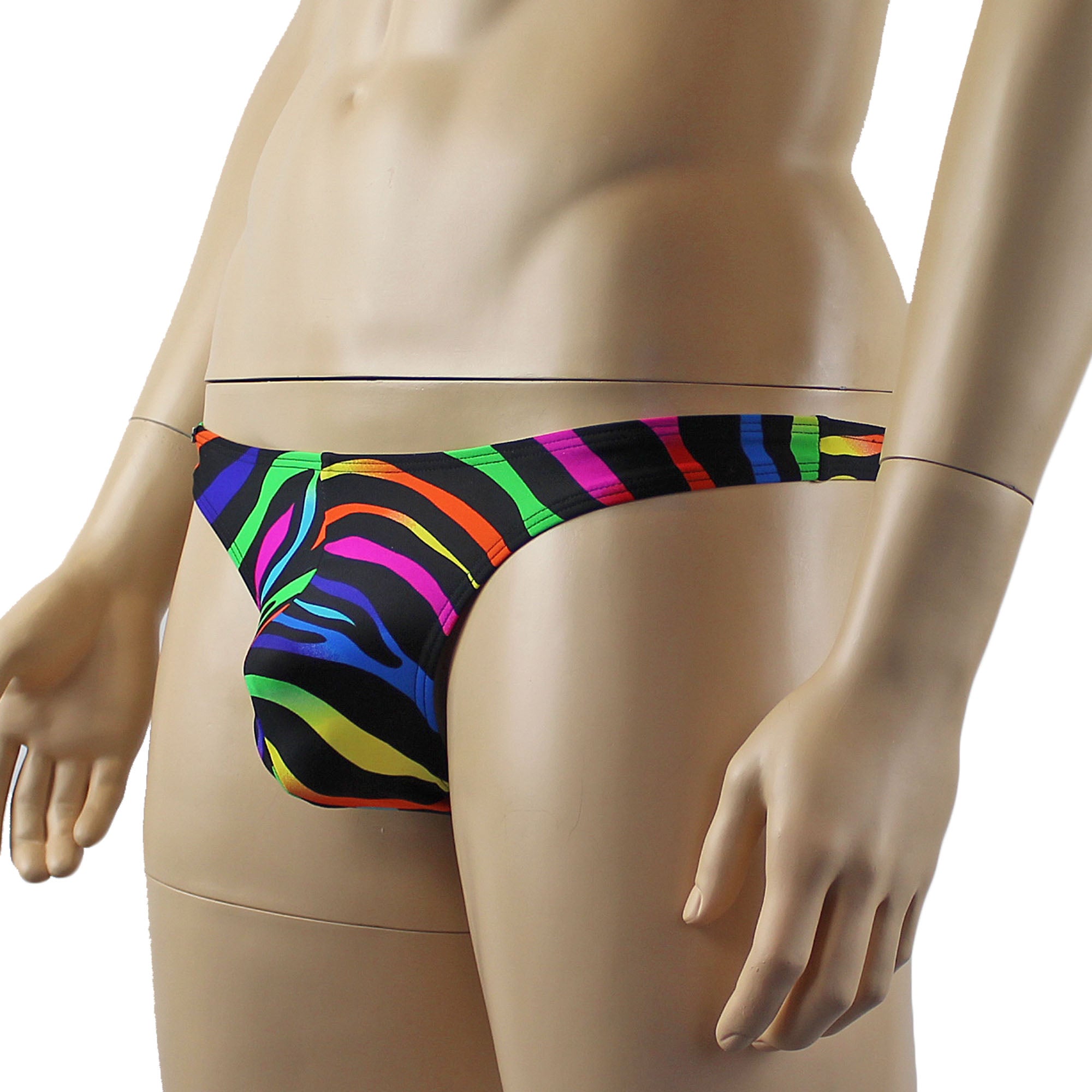 Male Rainbow Zebra Gay Pride Thong, Male Lingerie Sexy G string