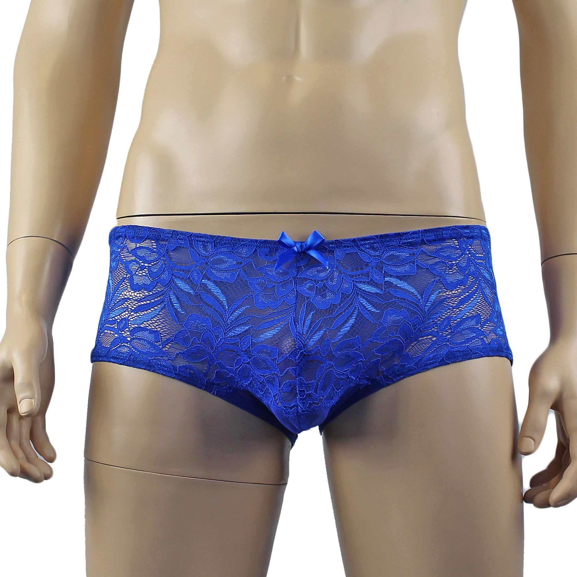 Mens Kristy Lingerie Sexy Lace and Mesh Panty Brief Blue